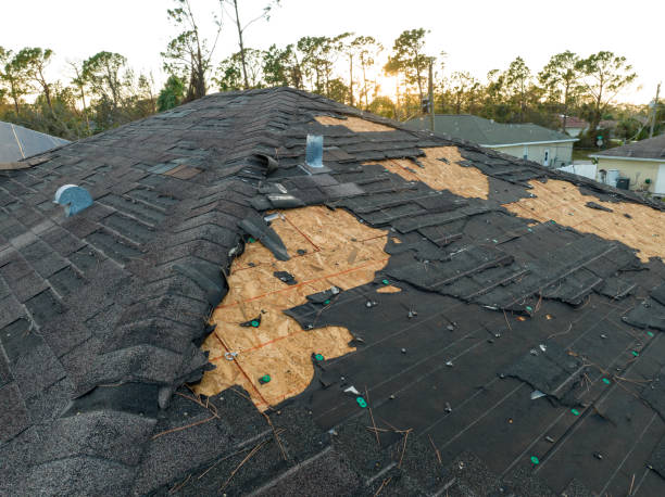 Best Roof Moss and Algae Removal  in St Augustine, FL